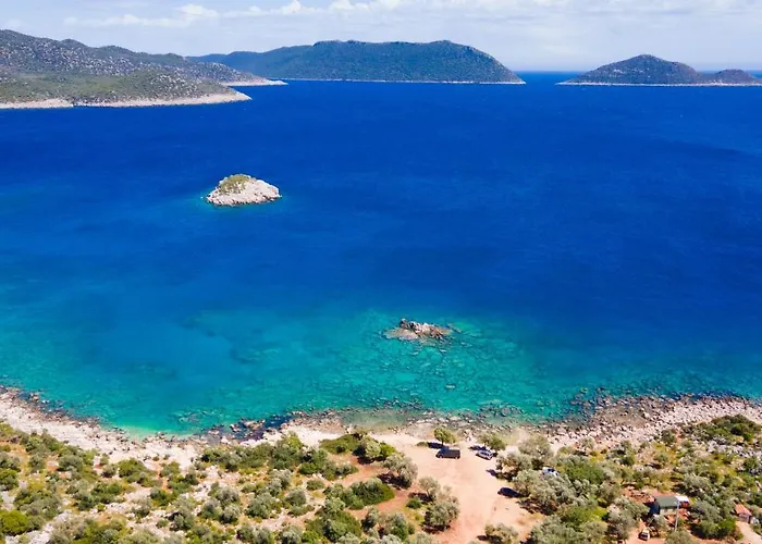 Hueseyin فيلة كاس